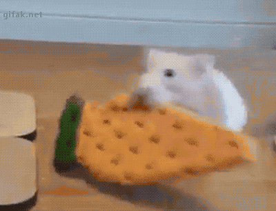 
               Meilleures images droles  Bon gâteau !!! 
              