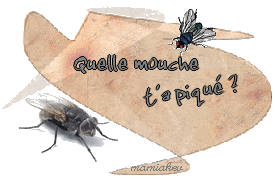 
               Meilleures image drole  Hasta la vista 
              