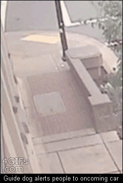 
               Meilleures images droles  Le trottoir c'est pour les piétons ! 
              