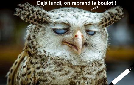 
               Meilleures images droles  Fini le week-end ! 
              