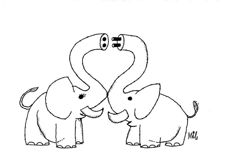  Image drôle  INÉDIT: les préliminaires d’un accouplement de pachydermes. 
              