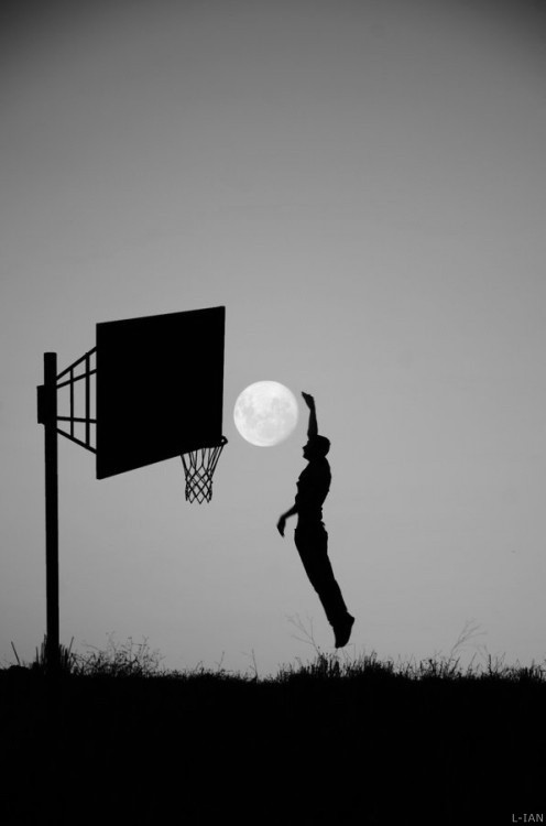 
               Meilleures image drole  panier de nuit 
              