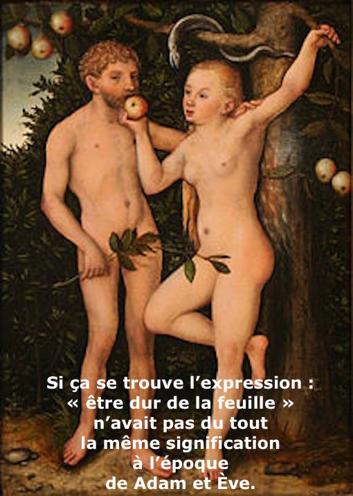  Image drôle  Réflexion biblique. , photo blague
              