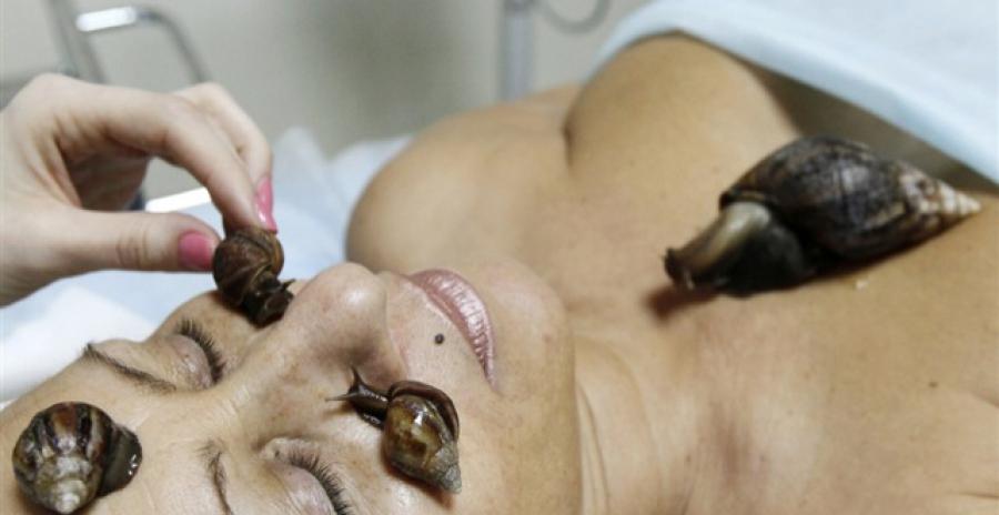 
               Meilleures image drole  bave d'escargot soins de peau ! 
              
