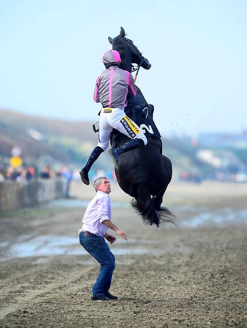  Image hilarante  saut d'obstacle , photo blague
              