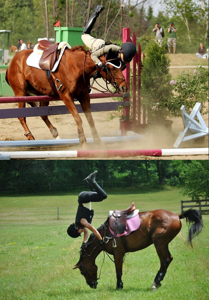 
               Meilleures images drôles  le plus dur quand tu pratiques l'équitation... 
              
