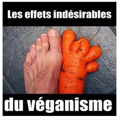  Image hilarante  Faut pas abuser des carottes , photo blague
              