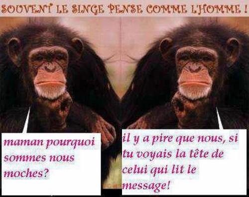  Image marrante  Phylosophie , photo blague
              