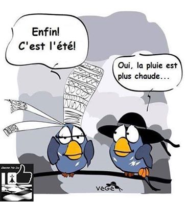 
               Meilleure image drole  la Bretagne pleure mais vous aime 
              