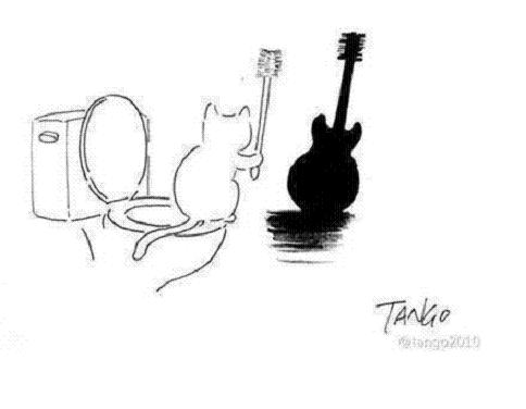  Image amusante  Chat Guitare 
              