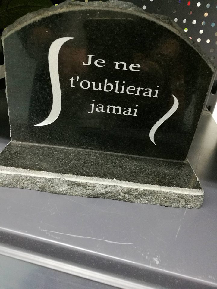 
               Meilleure image drole  Repose en paix, langue française… 
              