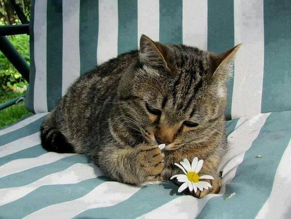 
               Meilleures images droles  je t'aime, un peu, beaucoup.... 
              