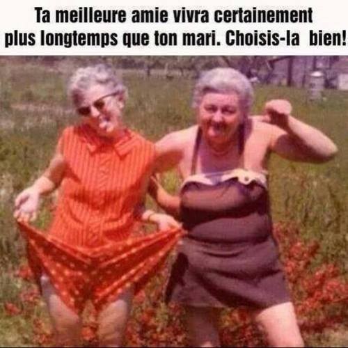 
               Meilleures images droles  faire le bon choix 
              