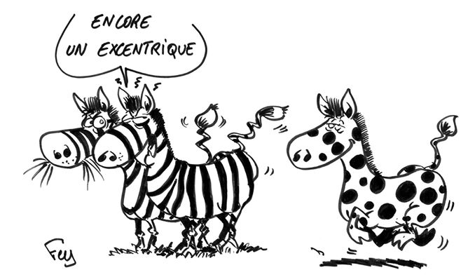 
               Meilleures images droles  Mais quel zèbre ! 
              