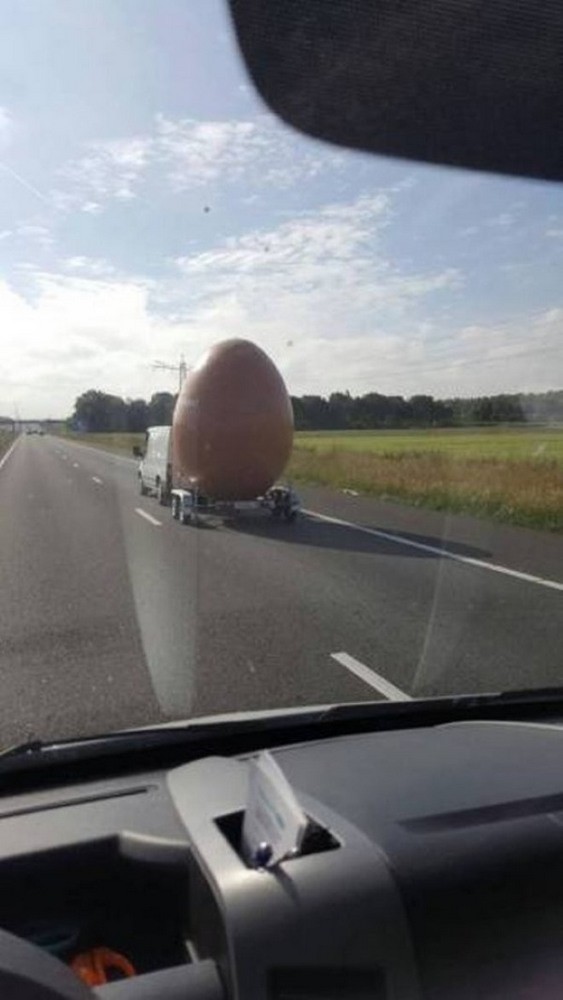 
               Meilleures images drôles  Attention, on signales un oeuf venant de Hollande
              