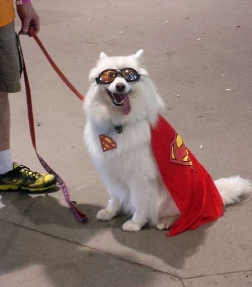 
               Meilleure photo blague  renvoyez-le sur krypton 
              