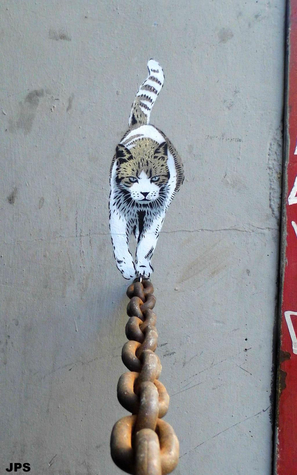 
               Meilleures images droles  A la chaine. 
              
