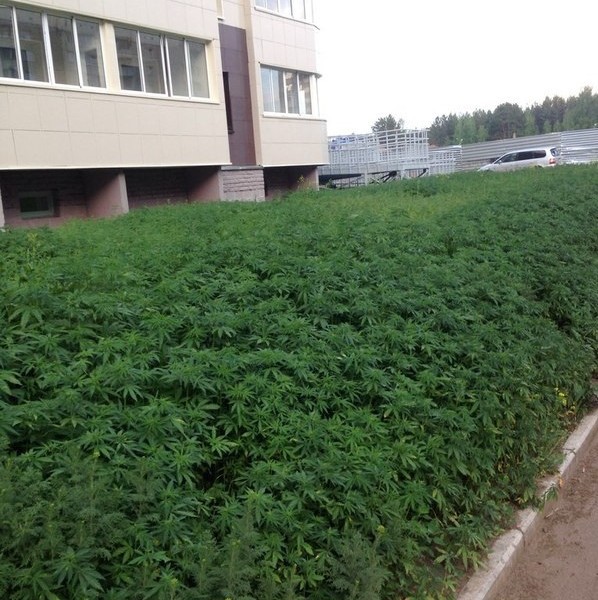 
               Meilleures image drole  Erreur du jardinier 
              