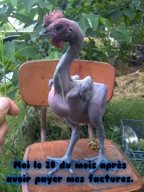 
               Meilleure image drole  Ta pas un sous pour moi finir le mois. 
              