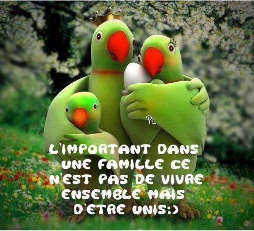 
               Meilleures images droles  c'est beau l'amour 
              