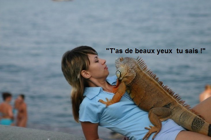  Image originale  Un bisou ! , photo blague
              