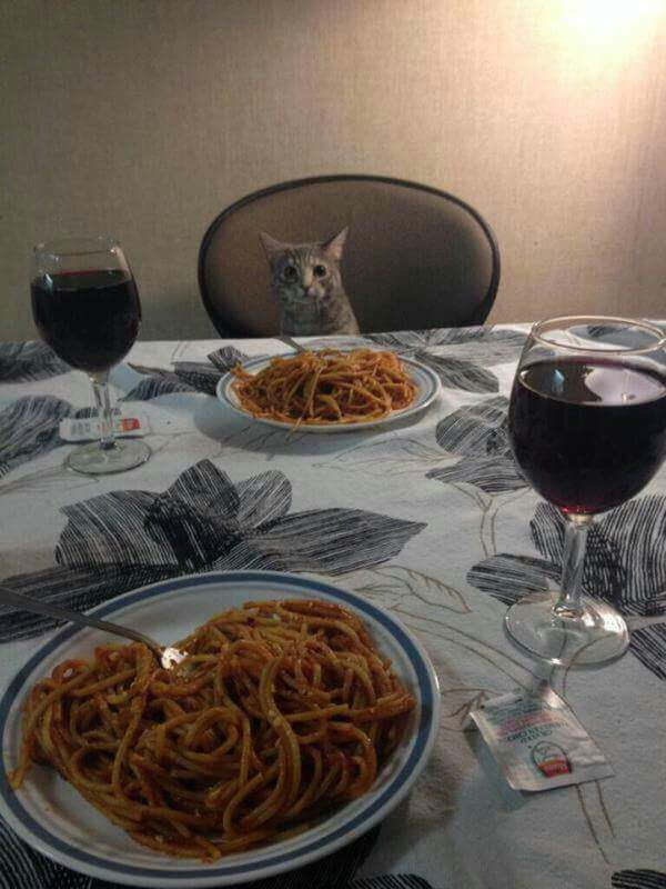 
               Meilleures images drôles  Ma soirée de Saint Valentin... 
              