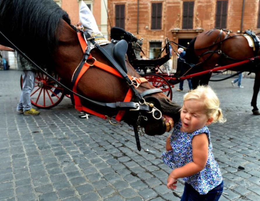  Image plaisante  Bisou , photo blague
              