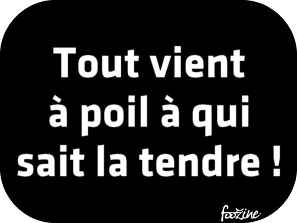 
               Meilleures image drole  c'est sûr 
              