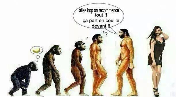 
               Meilleures images drôles  Réflexion faite... 
              