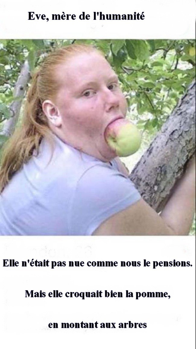 
               Meilleures image drole  La première photo d'Eve, 
              