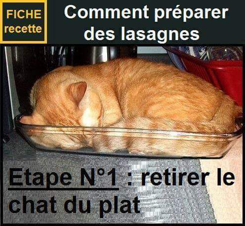  Image amusante  je n'aime ce genre de lasagnes , photo blague
              