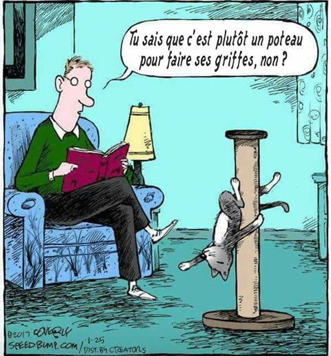 
               Meilleure image drole  séduction animale 
              