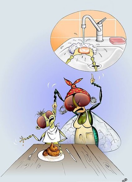 
               Meilleures images drôles  Info hygiène : il est IMPORTANT de se laver les m
              