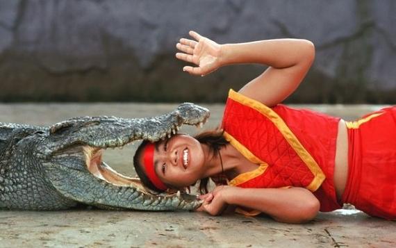 
               Meilleures images droles  Repose tête thailandais 
              