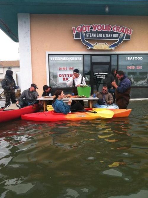  Image marrante  repas au bord de l'eau , photo blague
              