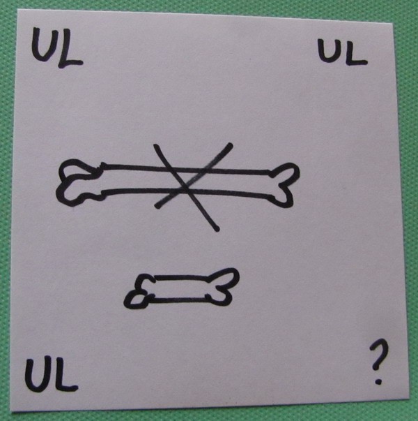 
               Meilleures image drole  Rébus 
              