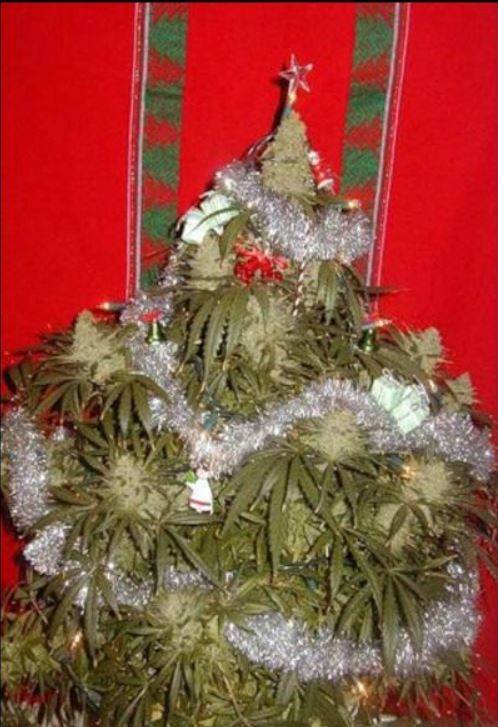 
               Meilleures image drole  Mon beau sapin 
              