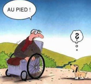 
               Meilleures image drole  ????? 
              