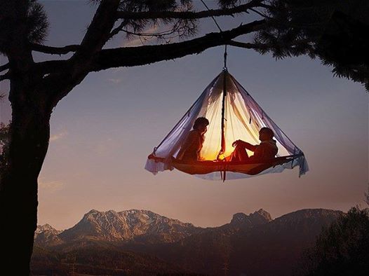 
               Meilleures images droles  douce nuit 
              