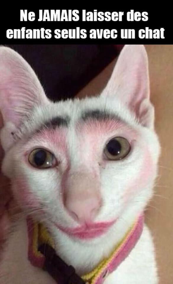 
               Meilleure image drole  ou alors planquez votre maquillage 
              