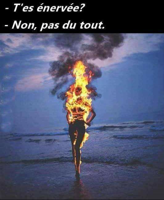  Image drôle  NON! JUSTE EN FEU , photo blague
              