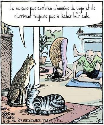  Image hilarante  Le yoga, ne peut pas tout faire 
              