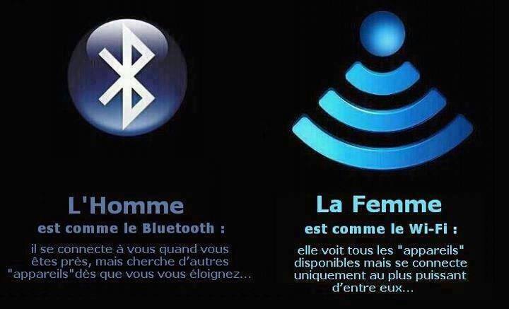  Image curieuse  Comparaison ! , photo blague
              