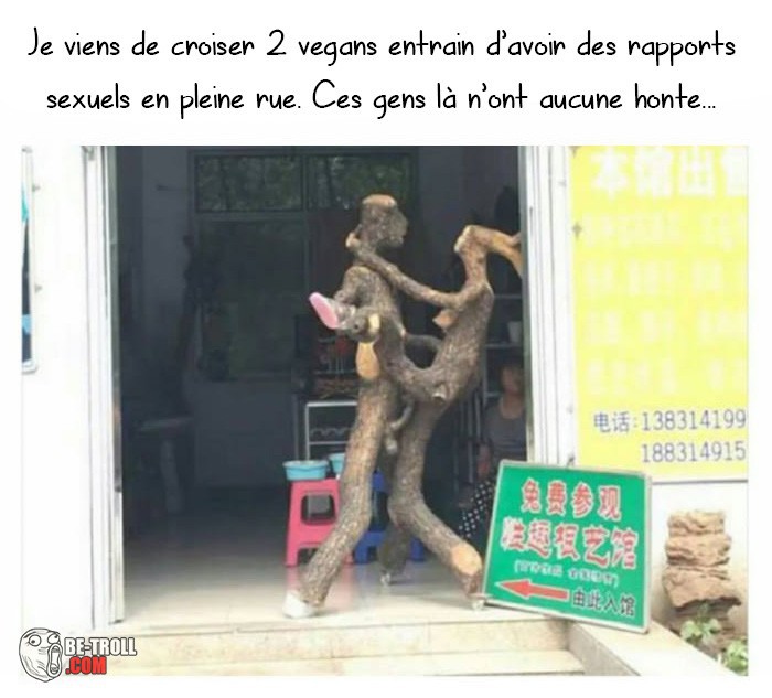 
               Meilleures images droles  ils pourraient se cacher 
              