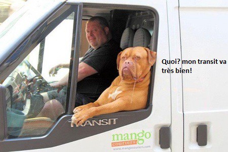  Image hilarante  Décontracté le toutou ! , photo blague
              