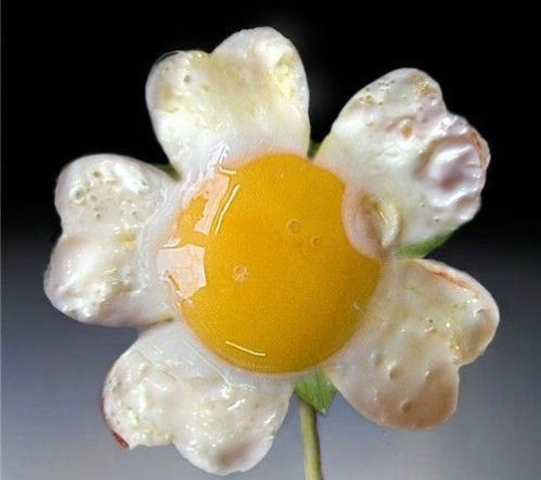 
               Meilleures images drôles  c'est l'printemps 
              