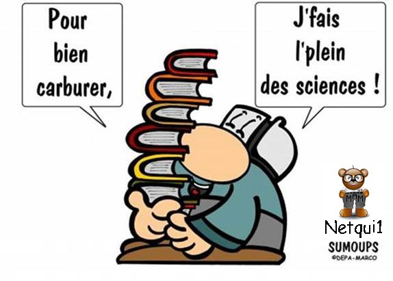 
               Meilleures images droles  Bonne nouriture. 
              