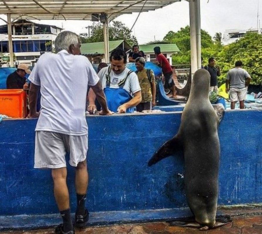  Image originale  Faire ses courses , photo blague
              