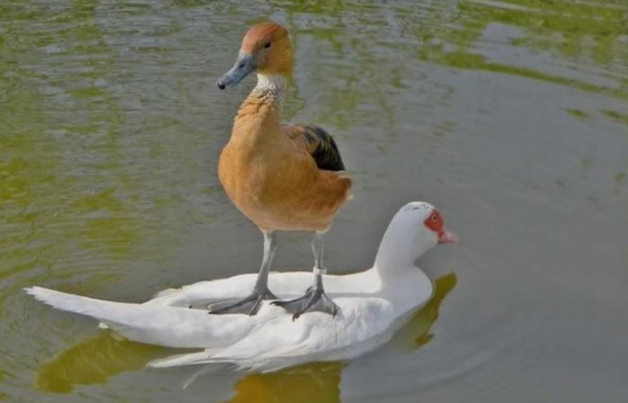 
               Meilleure image drole  Surf 
              