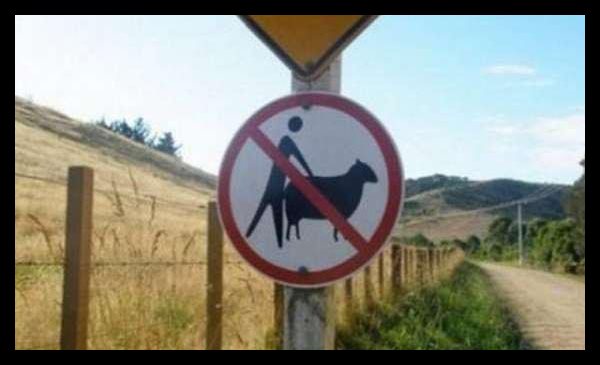 
               Meilleures image drole  c'est strictement interdit. 
              